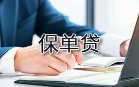 芜湖保单贷