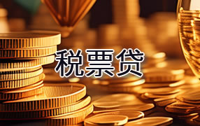 芜湖税票贷